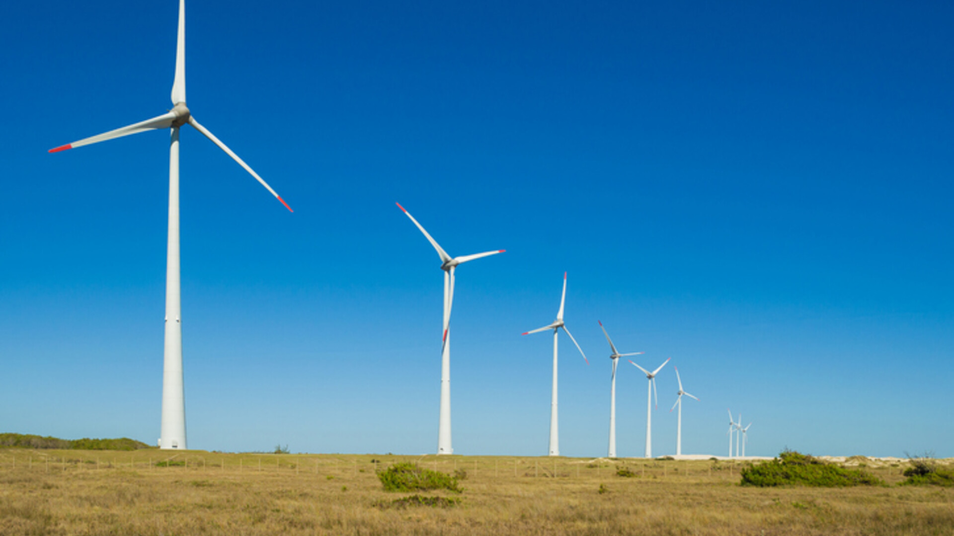 Conheça o mercado de energia eólica no Brasil 